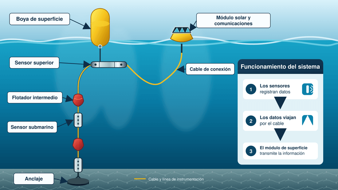 Esquema del sistema de la boya. En la superficie, la boya de flotación y el módulo solar y de comunicaciones, unidos por un cable de conexión. Del sensor superior baja la línea de instrumentación con un flotador intermedio, un sensor submarino y, más abajo, otro sensor sobre el anclaje en el fondo. Un panel lateral resume el funcionamiento: los sensores registran datos, los datos viajan por el cable y el módulo de superficie transmite la información.