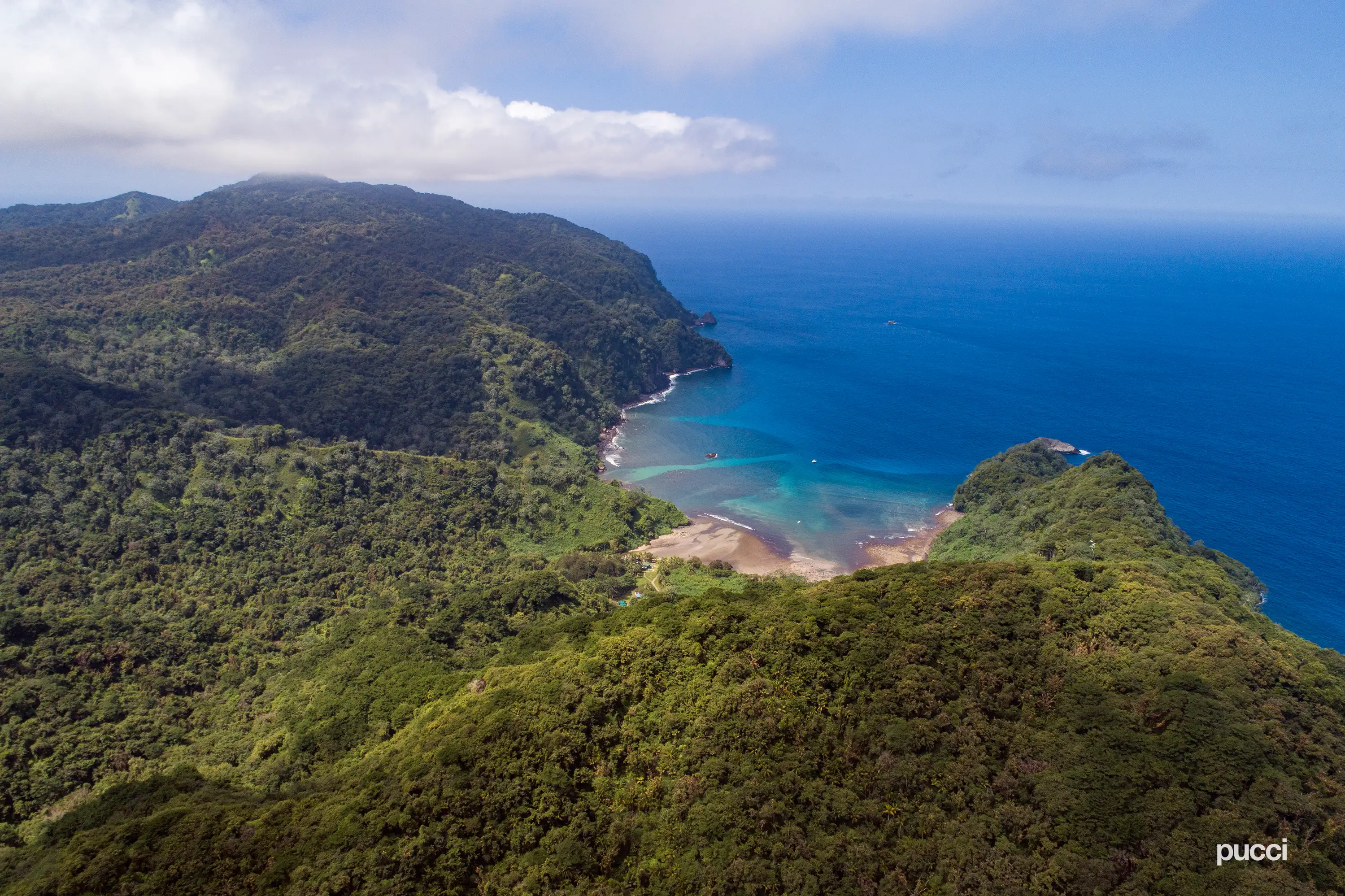 Bahía Wafer